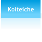 Koiteiche